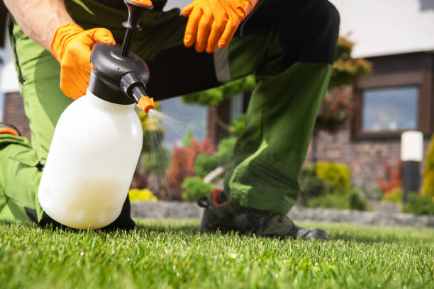 Pest Prevention Services in Lexington, NC