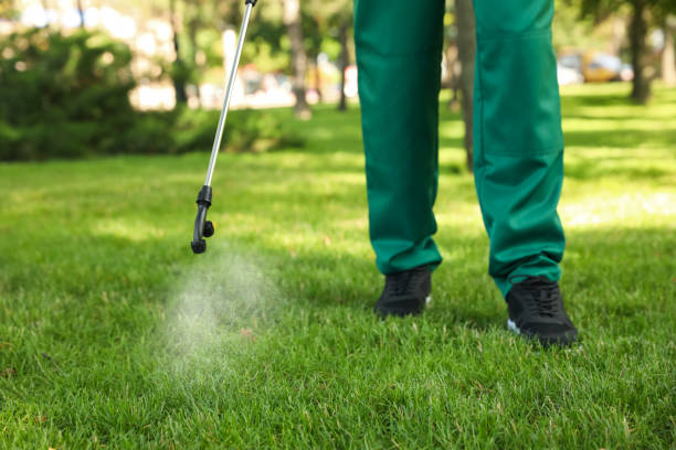 Trusted Lexington, NC Pest Control Experts