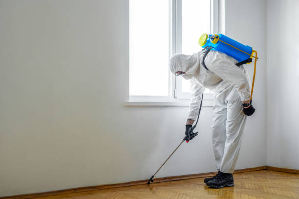 Best Flea Control Services  in Lexington, NC