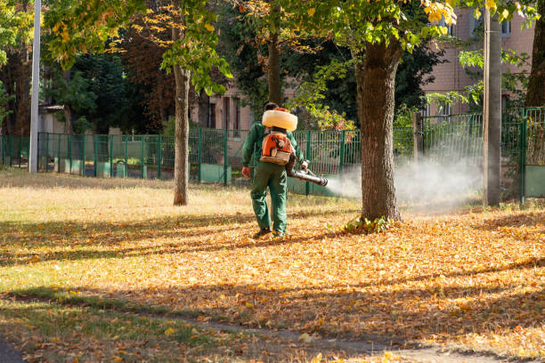 Best Bed Bug Extermination  in Lexington, NC