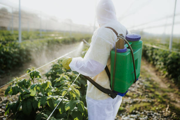  Lexington, NC Pest Control Pros